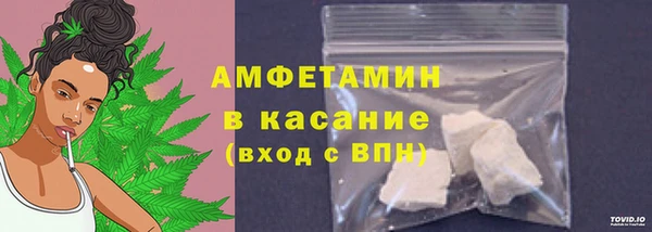 прущие грибы Корсаков