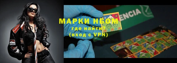 стаф Арсеньев