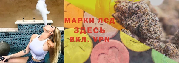 стаф Арсеньев