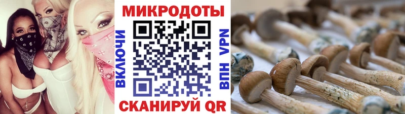Псилоцибиновые грибы MAGIC MUSHROOMS  Баймак 